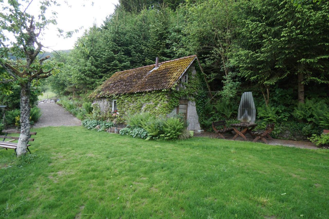Kandel - Stubenhof, Black Forest Simonswald Exterior foto